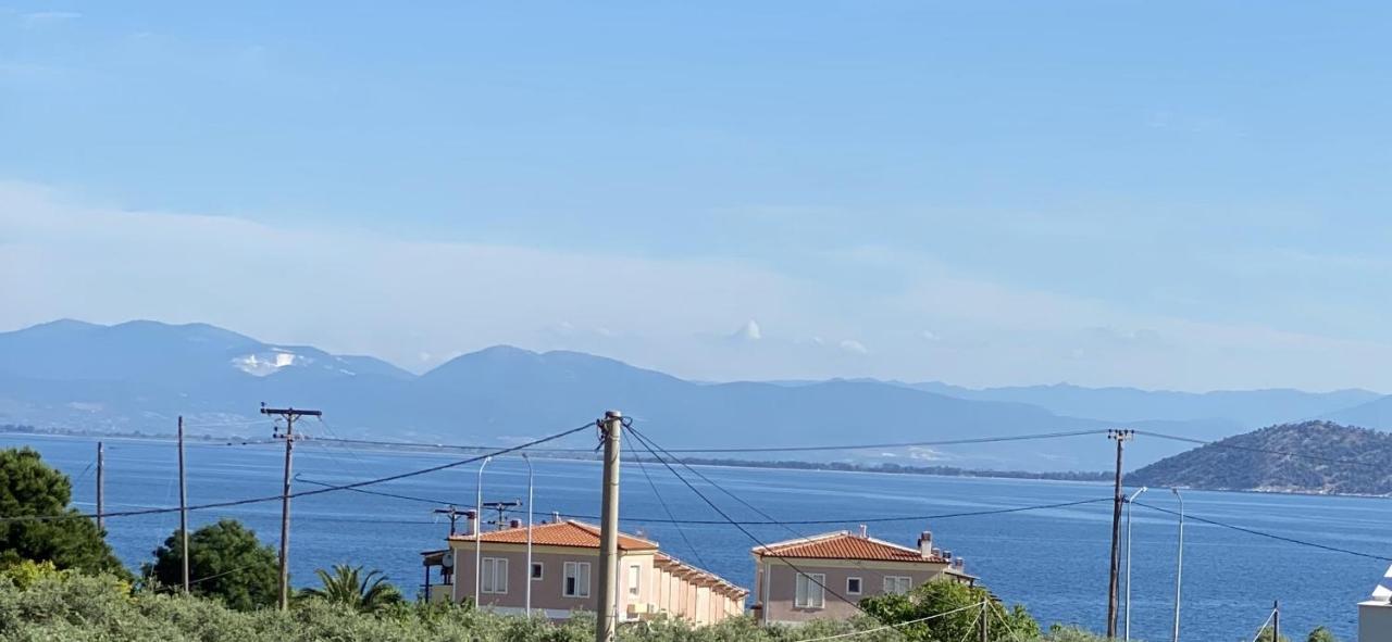 Luminous Luxury Apartments Limenas  Esterno foto